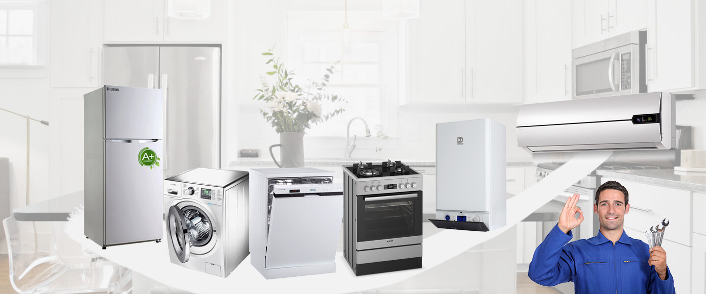 Erenler Smeg Servisi